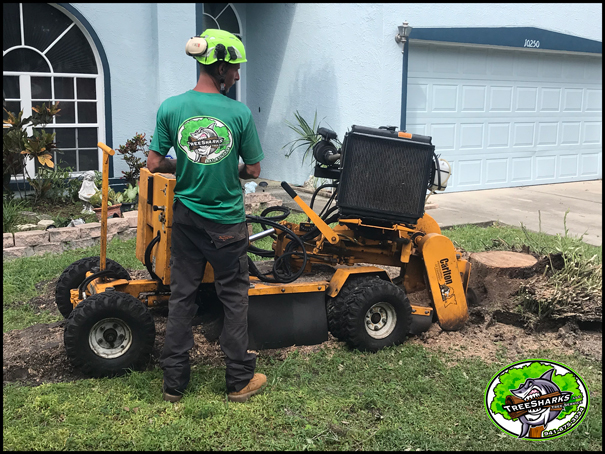 Stump Grinding Port Charlotte FL